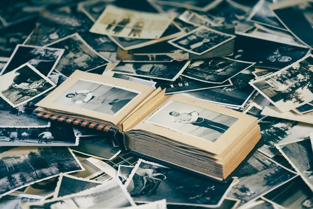 g51ed649f233fa71290193eaccf8d2f428356a2d6ac34d106faff5274bc2ff3b2ca0cd2a5ff3cade4f4c7cc7e0164df54386badc33ccee882389adee91b4ec290_1280-7666143.jpg